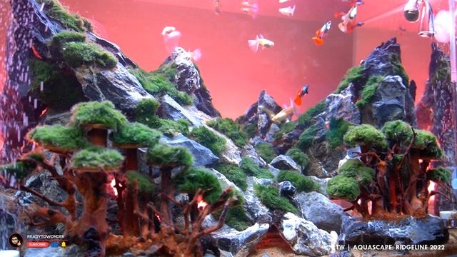 Aquascape | Ridgeline [5 minutes] Screensaver