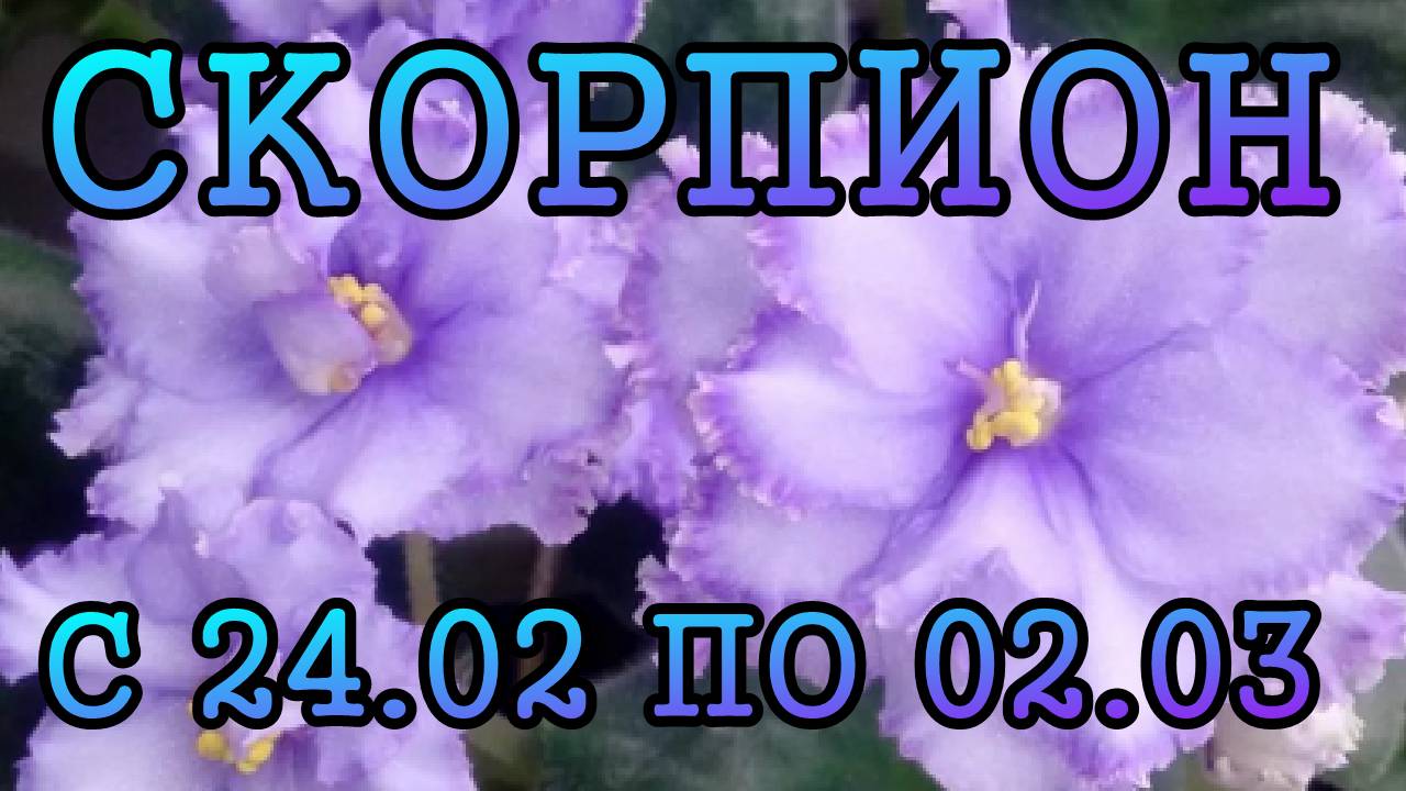 СКОРПИОН таро прогноз на неделю с 24 ФЕВРАЛЯ по 2 МАРТА 2025 года.