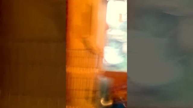 1 видео на канале смешное приключение по комнате