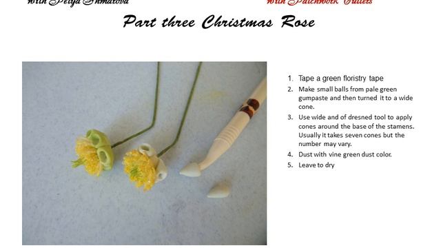 Gumpaste flowers with Petya Shmarova - Christmas Rose Part Three