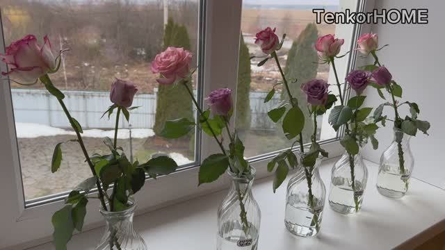 Как сохранить срезанные цветы дольше?