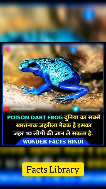 Amazing Frog Facts: Poison Frog Facts #shorts #viralshorts #ytshorts