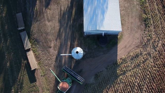 Grain harvest /sorghum