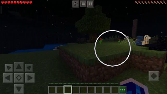 я нашел лук батун😨