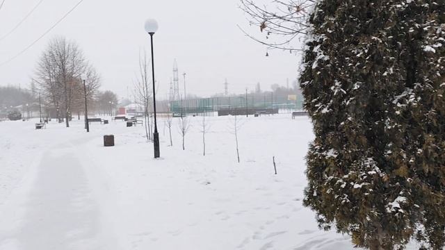 20.02.2025