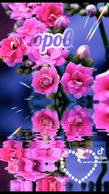 VID-20250221-WA0008
