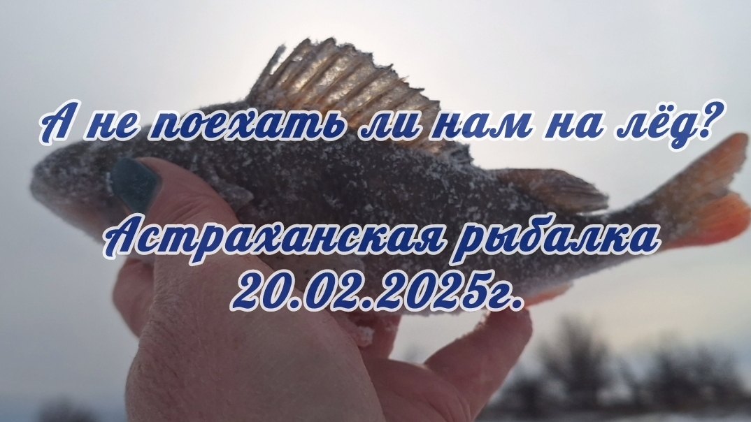 А не поехать ли нам на лёд? Трудовая окуневая рыбалка в Астрахани 20.02.25г.