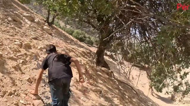 The story of the disappearance of Hassan's mother: hidden secrets in the heart of the mountains