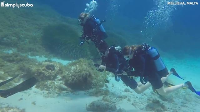 Tips On How To Be A Rescue Diver