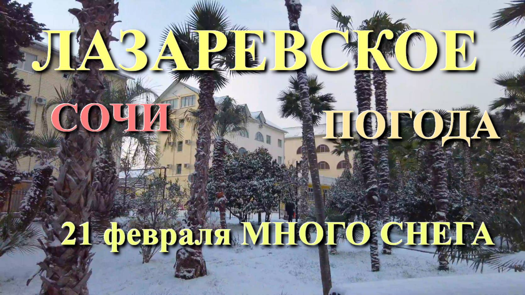 Лазаревское Погода, Погода в Сочи, Лазаревское сегодня, Сочи сегодня, Сочи  снег, Лазаревское снег