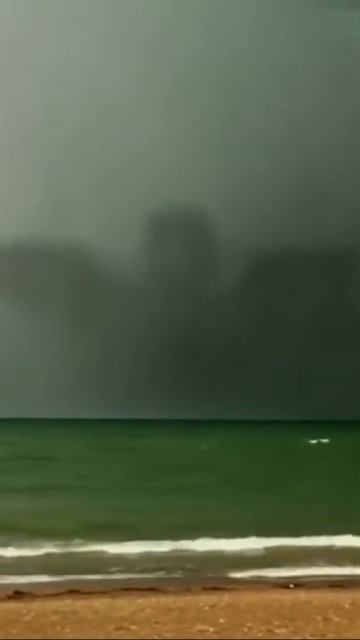 Троех Галовая Гидра в реальной жизни #Shorts