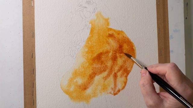 Watercolor Chicken: Planning Before Painting