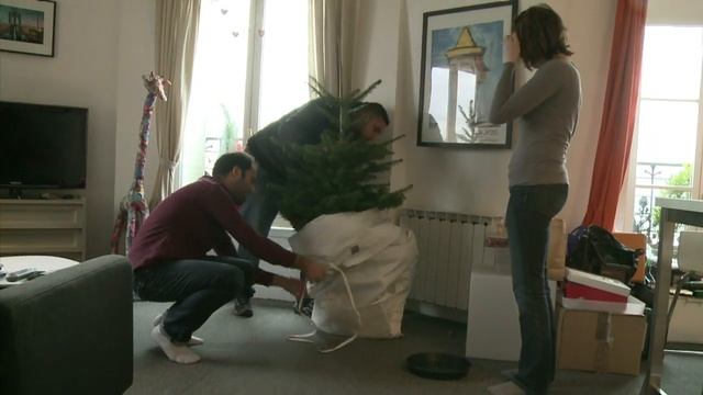 Potted Christmas trees make a greener holiday in France
