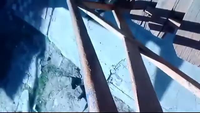 куклачов отдыхает