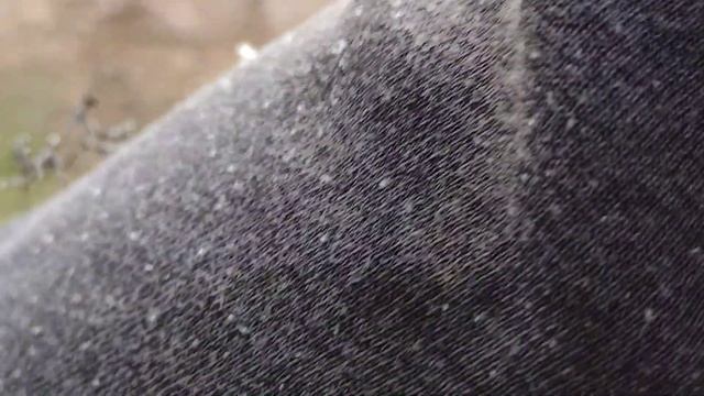 I found my dream invert in Arizona! Anting Vlog #2