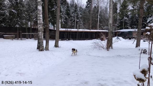 Выдержка на подаче