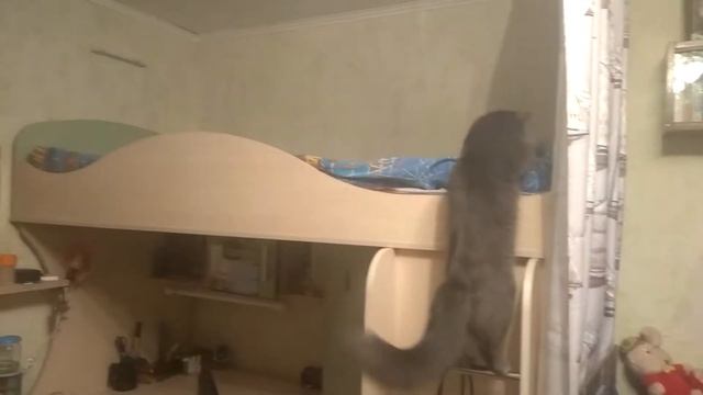 КОТОПЁС Тихан - "Прикуси Улитку".