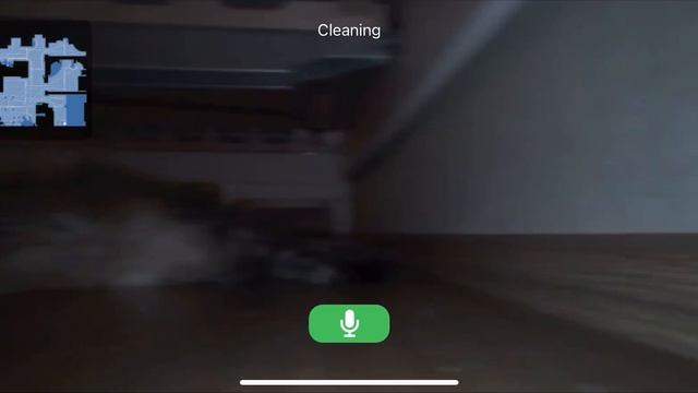Робот заснял мохнатую киску хозяйки