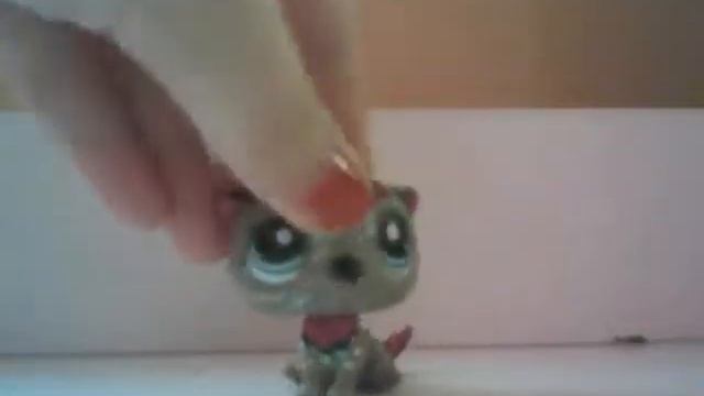 Спасибо, Stefania Kolodkina!
