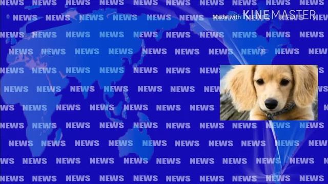 Просто класные картинки