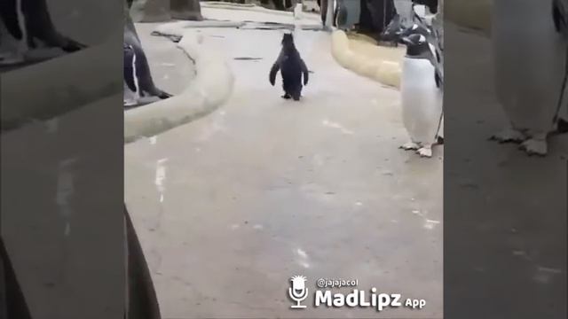 5 de agosto de 2018