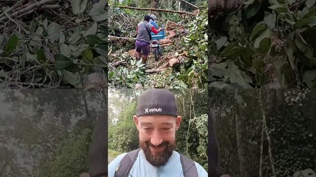 Osa Peninsula’s Unplanned Detour: Moto Mania Meets Ancient Tree