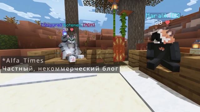 КОТ О СЕБЕ, СЕРВЕРЕ И ДЕЯТЕЛЬНОСТИ ИГРОКОВ