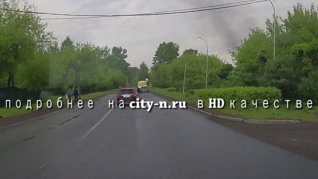 Пора в Новокузнецке ставить дорожные знаки «Внимание! Олень»