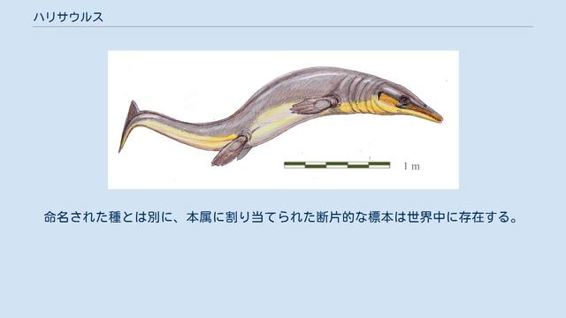 ハリサウルス