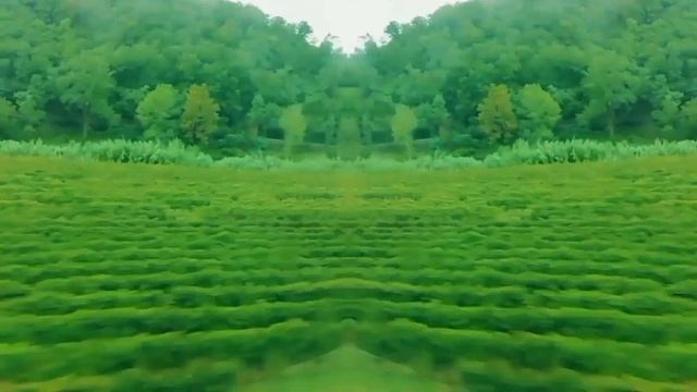 MALVA - Scusa (Official Audio)