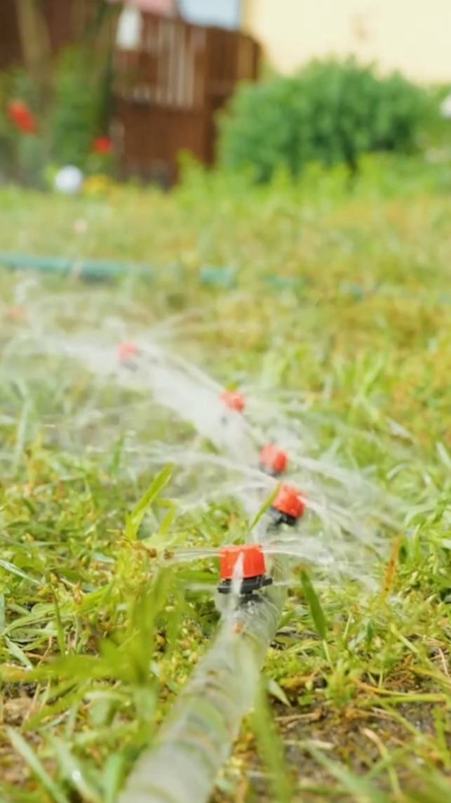 💦Cад, который становится ПРОЩЕ благодаря этой системе полива! #shorts #garden #советы