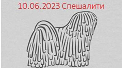 Россия 2023-1. 10.06.2023 Ринг спешалити. Щенок