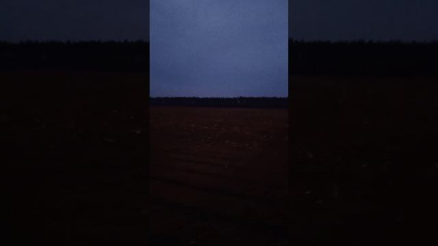 Актуальні ціни на зерно пшениці, кукурудзи, сої в грудні 2021 року
