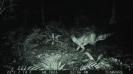 TCAM2891