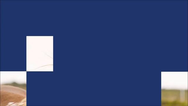 English Vocabulary Game | Hidden Picture Game | Animals