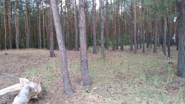 Польша. Гловно