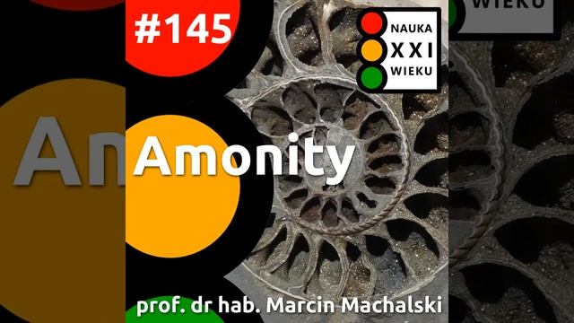 #145 - Amonity