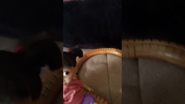 1000004571.mp4