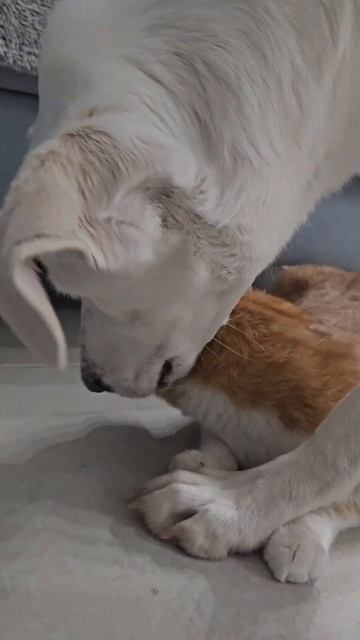 Спокойной ночи ❤️