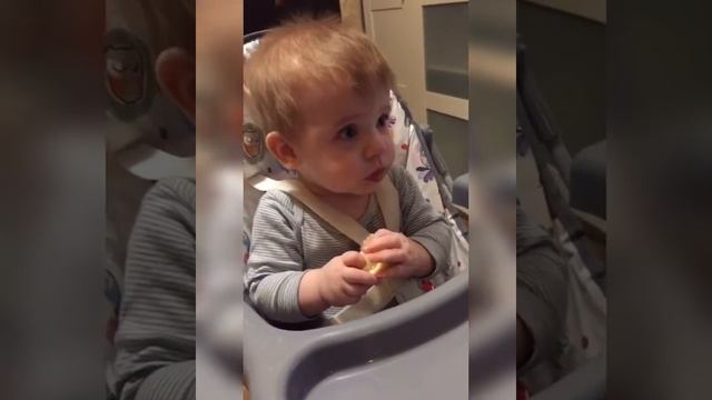 Первый лимон 🍋