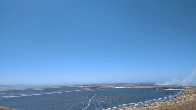 Coyote Hills - Destiny Maiden - July 6, 2020(2)