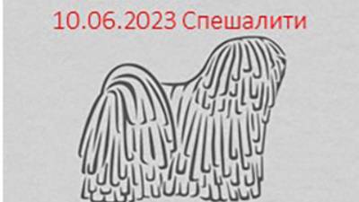 Россия 2023-1. 10.06.2023 Ринг спешалити. Кобель класс Чемпионов (1)