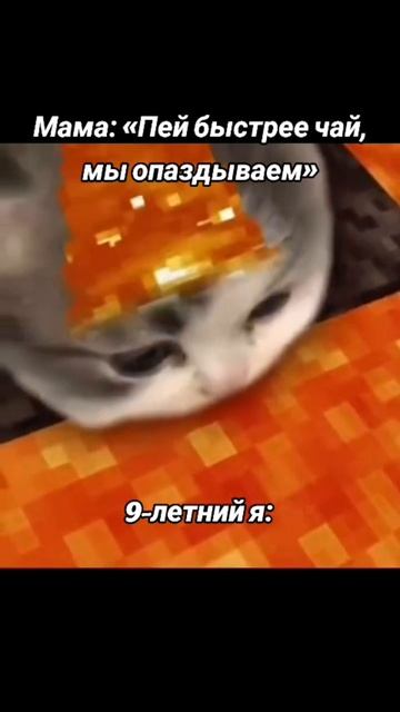 жиза