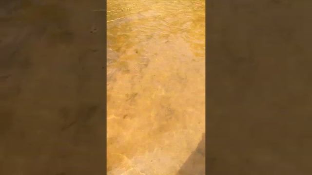Пляж Чайка Вышгород