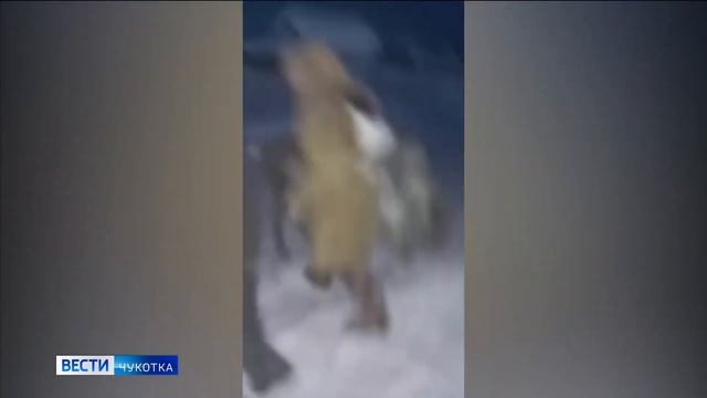 Праздник оленеводов «Ръилет»