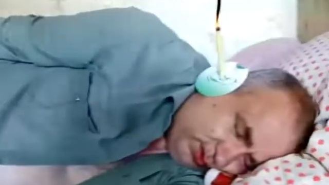 Буйвол. Пузо, как груша.