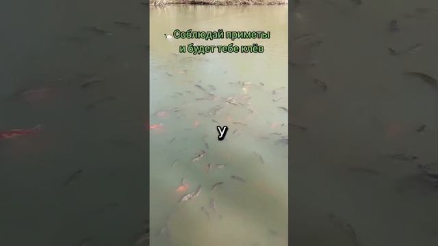 VID-20250221-WA0218