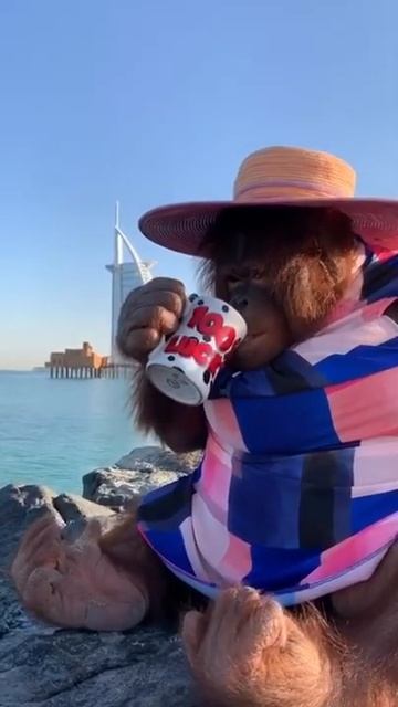 #AlMaktoumWorld #Dubai #Mydubai #YouTube #Shorts(1)