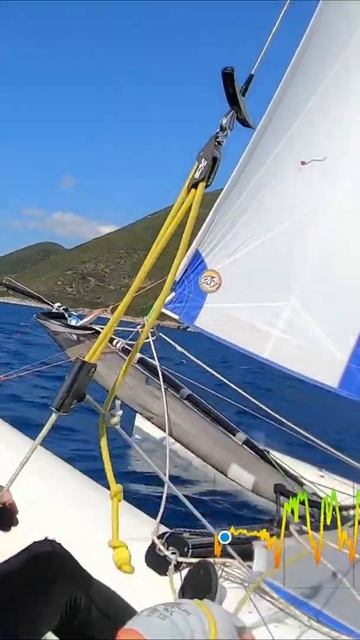 Daggerboard positions for catamarans #shorts