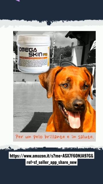 #protein #supplement #alimentacionsaludable #alimentation #barf #dog #doglover #fitness #pet #life